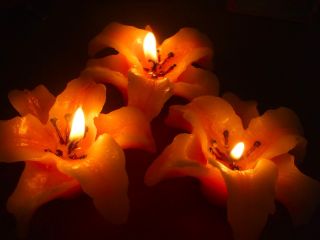 0 e524 901171c8 XLm.jpg