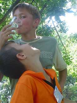 161752738 fd705b5f28m.jpg