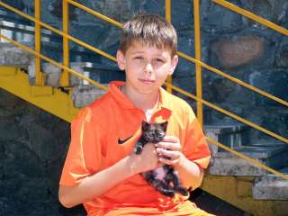 2117548 850x638m.jpg