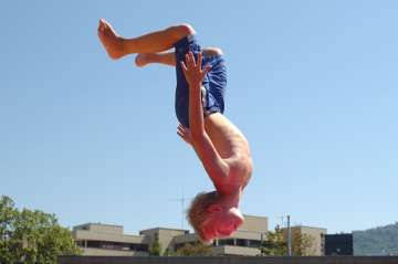 230371163 906ee730cdm.jpg