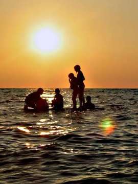 230499641 64acc15de5m.jpg