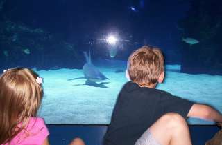 2429027269 0df7b5be1fm.jpg