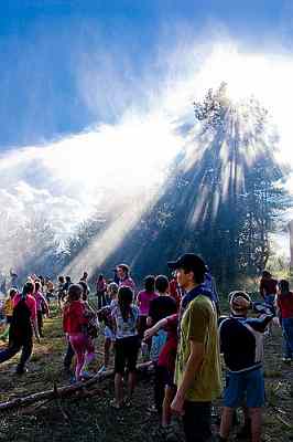 2962673628 2cbea0da02m.jpg