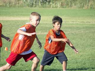 423792669 79cfe2d98bm.jpg