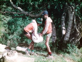 Img 1015694 39570096 2.jpg