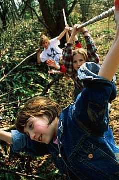 Normal b15d94638c90522c4254b95b578460cem.jpg