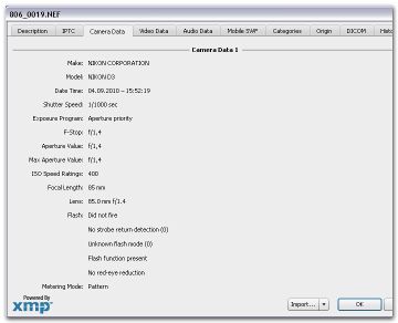 Svedeniya o file.jpg