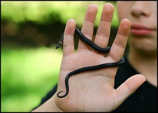 Tumblr l8d8vf5JID1qdrz4mo1 400m.jpg