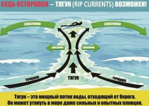 Rippdf-0.jpg