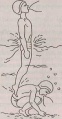Image005.jpg