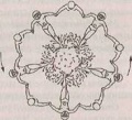Image018.jpg