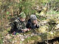 Img 3896m.jpg