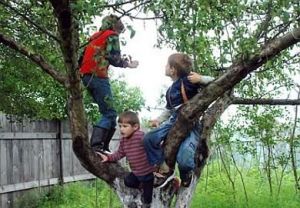 Article image-image-article3m.jpg